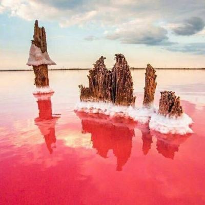 星舰黎明破解版下载